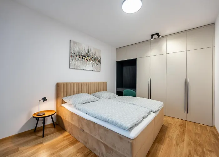 Timonova V Centre Mesta